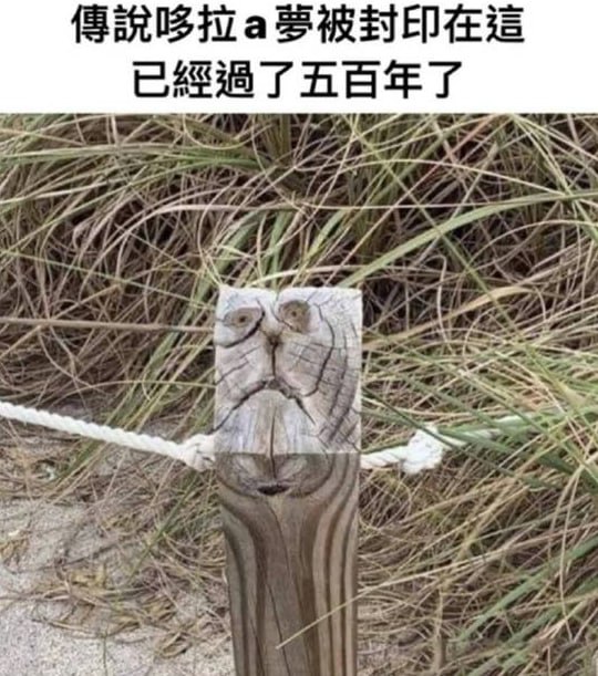 via 7号沙雕网友