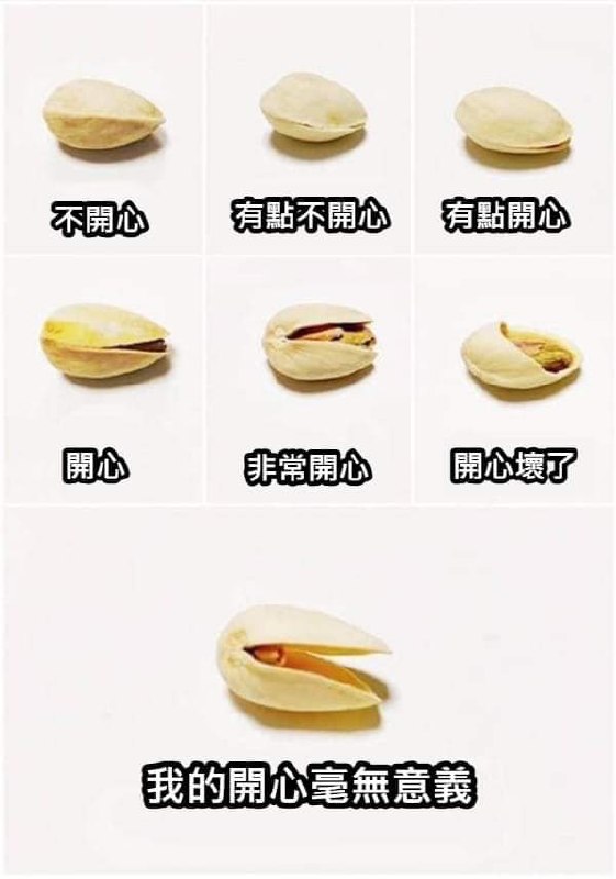開心果占卜~#歡樂梗圖區from UMD(兔鼠)的謎島觀察日記(NSFW)