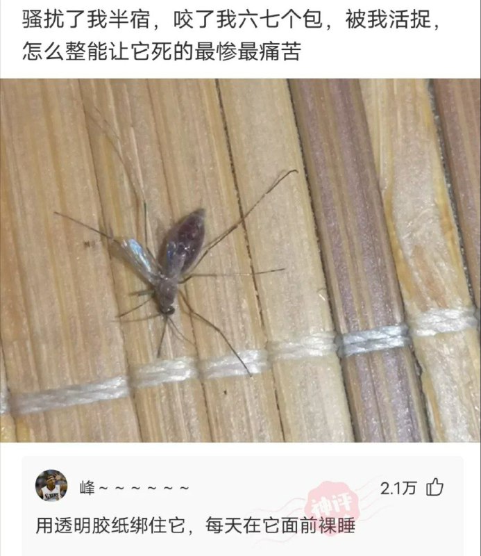 via ㅤSpongeBob 绵鸣 🅥 ㅤ