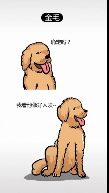 为什么有些狗不能做警犬 #精品为什么有些狗不能做警犬 #精品