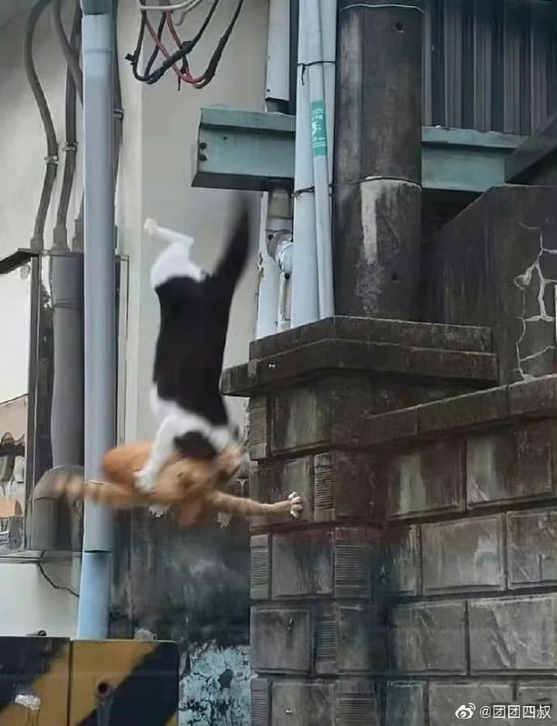 最迷人的最危险 ​​​最迷人的最危险 ​​​