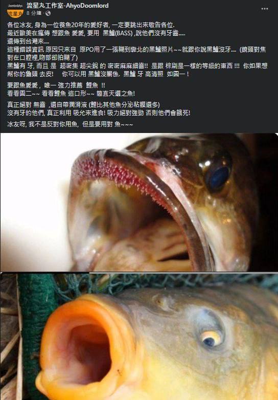 要用對魚匿名投稿from 心惊报 via efsg