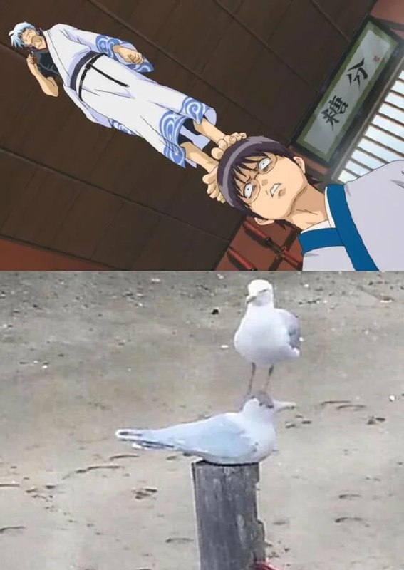 from 平壤卫视