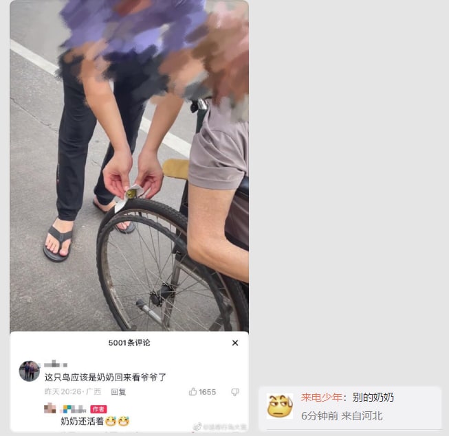 from 美图与沙雕