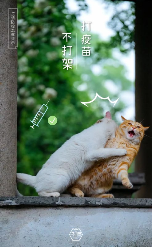 #苏州园林的猫  苏州防疫宣传，掌握了流量密码#苏州园林的猫  苏州防疫宣传，掌握了流量密码