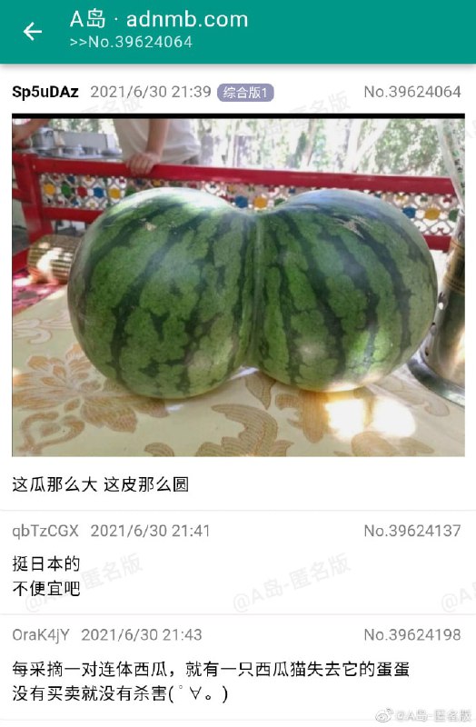 from 美图与沙雕