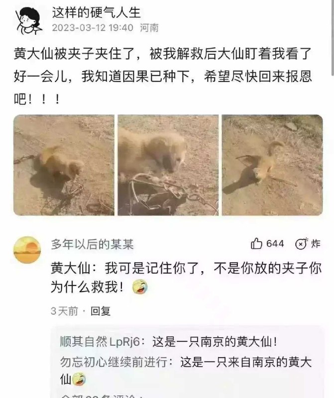 from 煎蛋无聊图