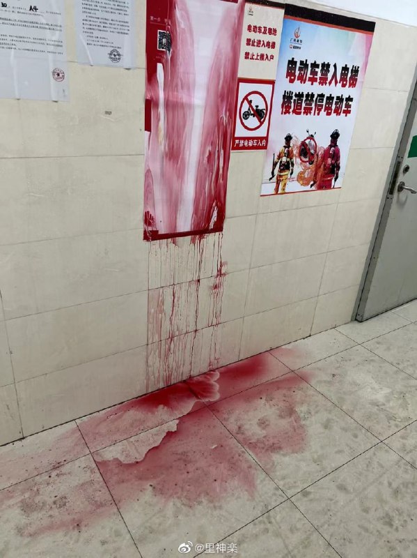 from 平壤卫视 via 呀from 平壤卫视 via 呀