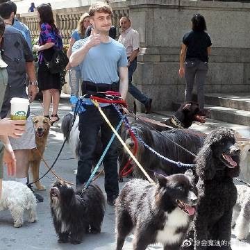 这样伏地魔就找不出哪一个是我的教父了”这样伏地魔就找不出哪一个是我的教父了”