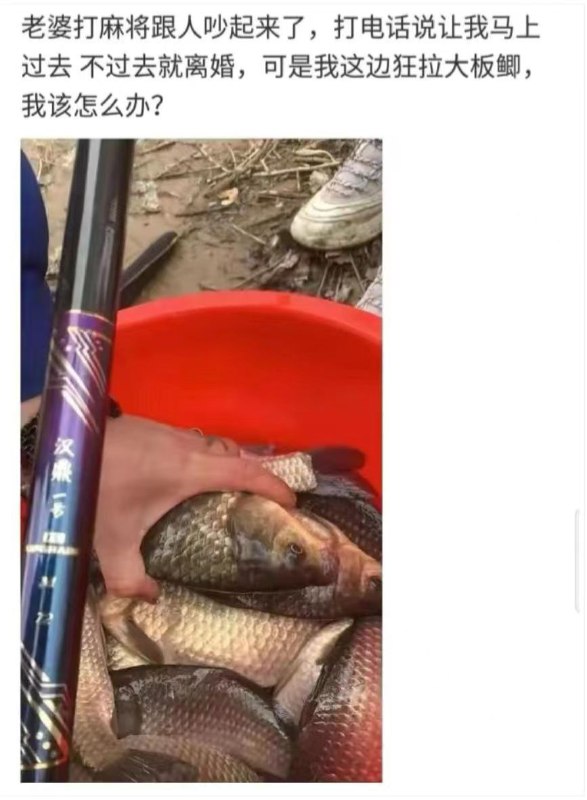 via Dfresa | 击水
