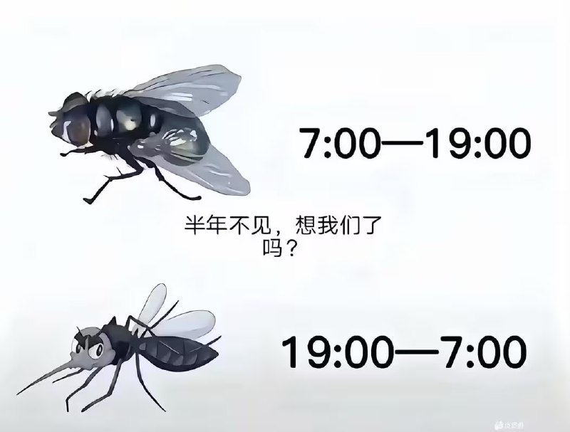 via 7号沙雕网友
