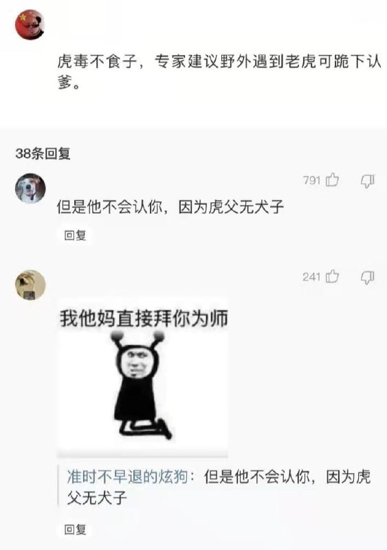 from 平壤卫视
