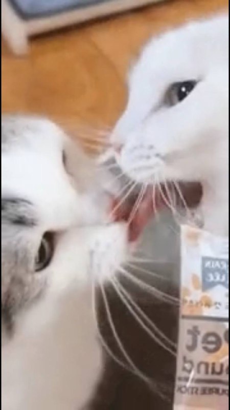 via 犯罪嫌疑人张某via 犯罪嫌疑人张某