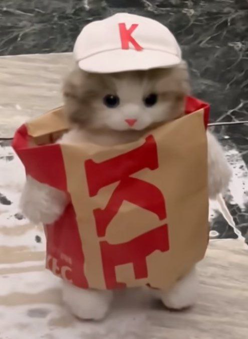via 鸭累鸭累