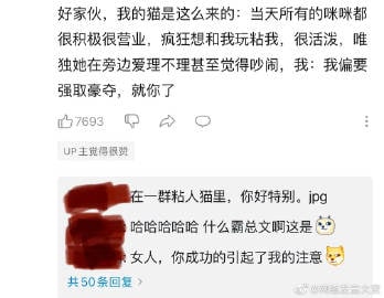 可以再讲一次你在人类堆里选中我的故事吗？可以再讲一次你在人类堆里选中我的故事吗？