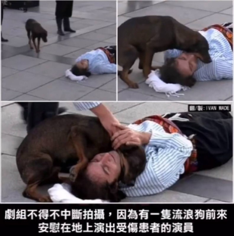via 犯罪嫌疑人张某