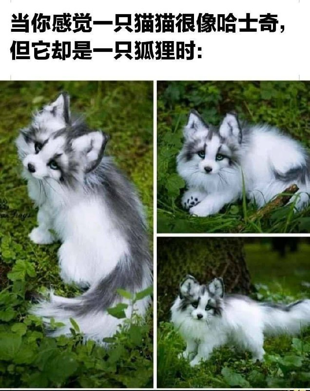 from 沙雕微博收集