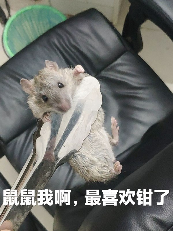 from 社会易姐QwQ via efsg