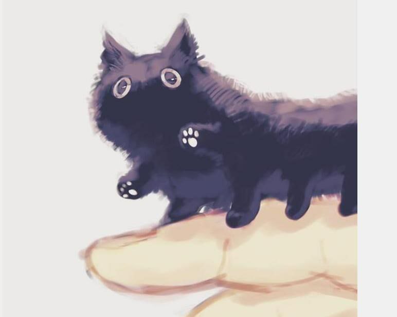 真·猫猫虫~via ㅤSpongeBob 绵鸣 🅥 ㅤ