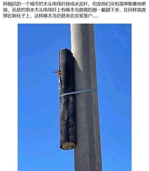 via 张某 犯罪嫌疑人