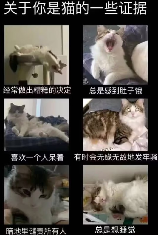 via 7号沙雕网友
