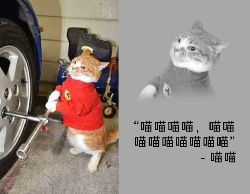 via 6号沙雕网友