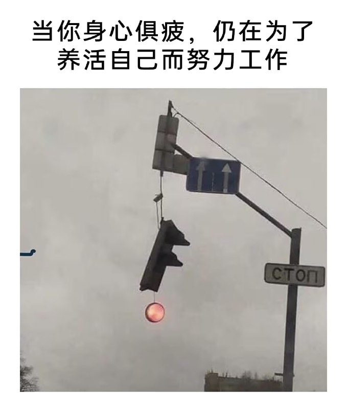 via 7号沙雕网友