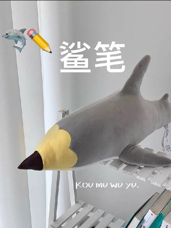 from 平壤卫视