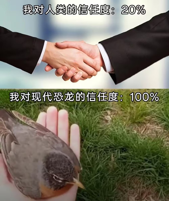 via 7号沙雕网友