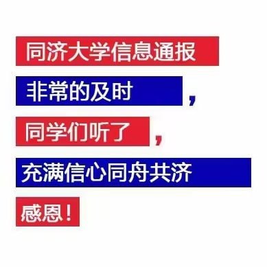 from 荔枝木from 荔枝木