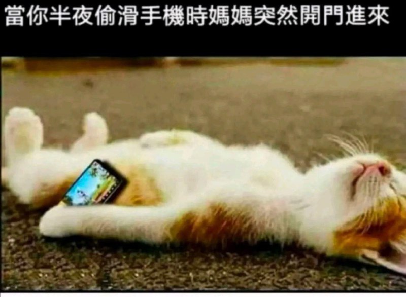 via 韩 小松