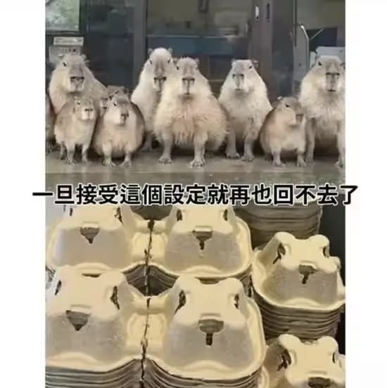 via 7号沙雕网友
