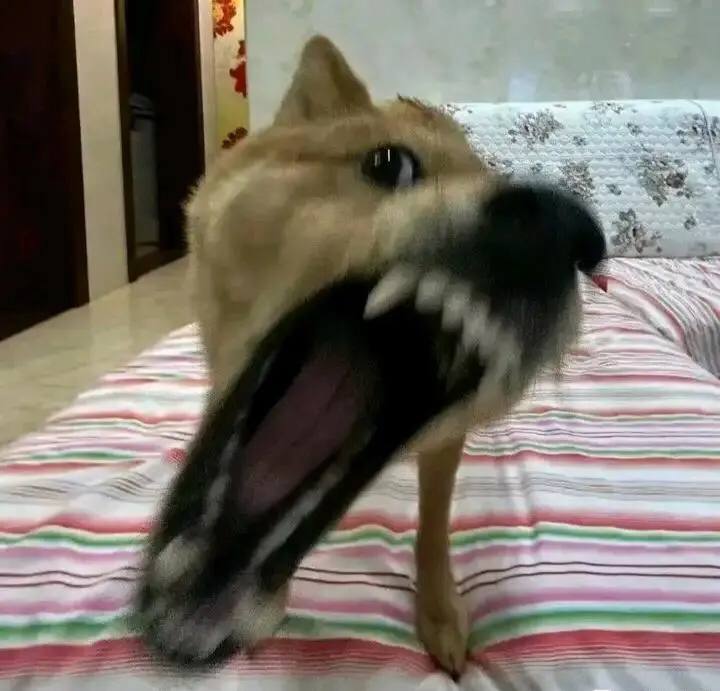 via 张某 犯罪嫌疑人