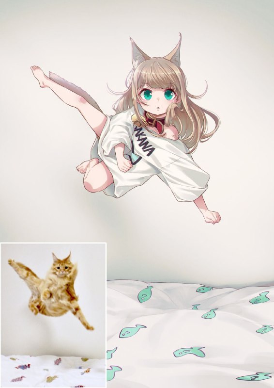 from 每日无数猫from 每日无数猫