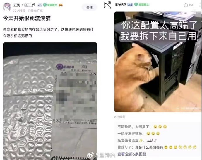 via 梓川咲太🅥