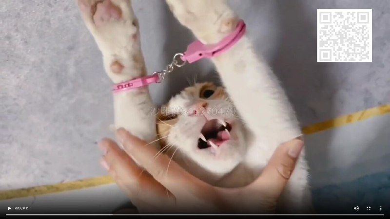 via Cat 73