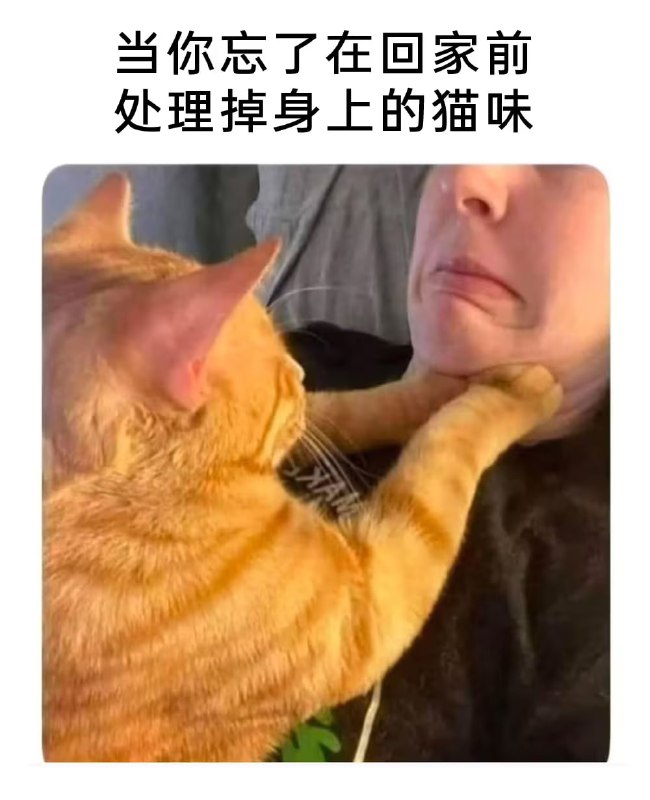 via 7号沙雕网友