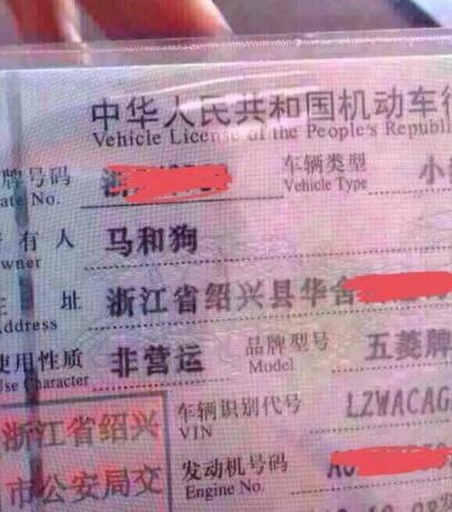 via 7号沙雕网友