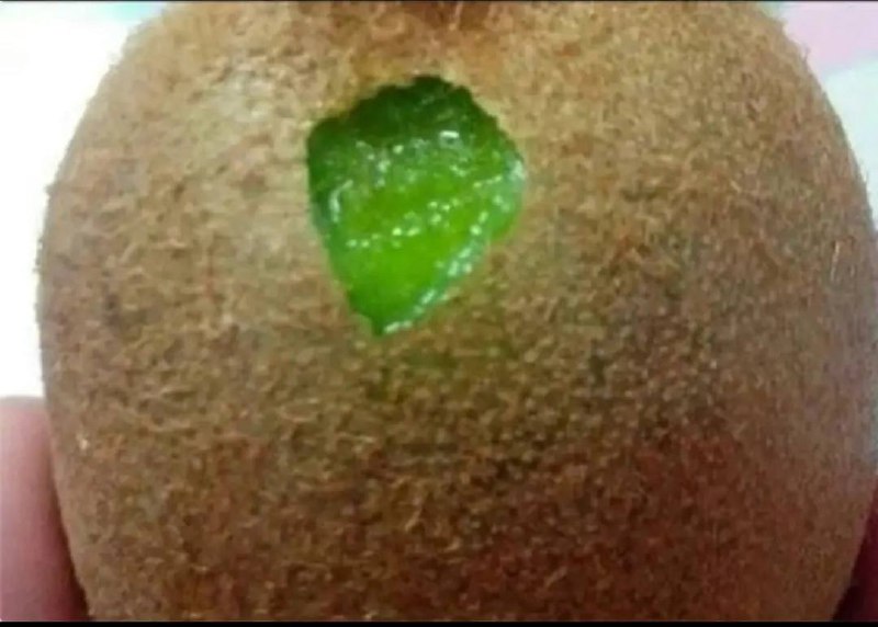 刚开的料子，有没有懂哥鉴定一下种水