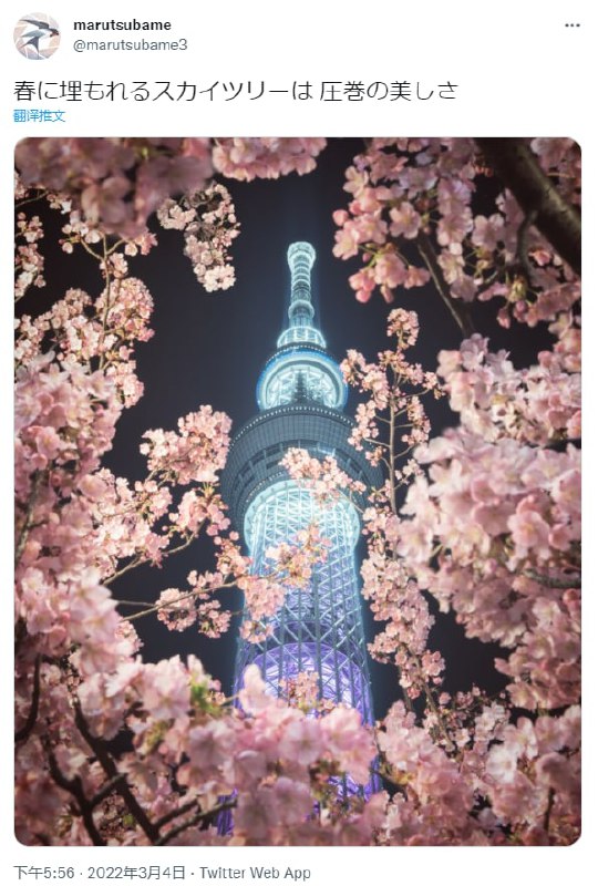from 平壤卫视 via 呀from 平壤卫视 via 呀