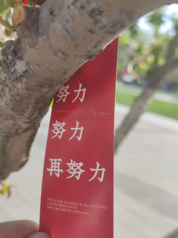 努力的背后是..from Foolish TraceWind努力的背后是..from Foolish TraceWind