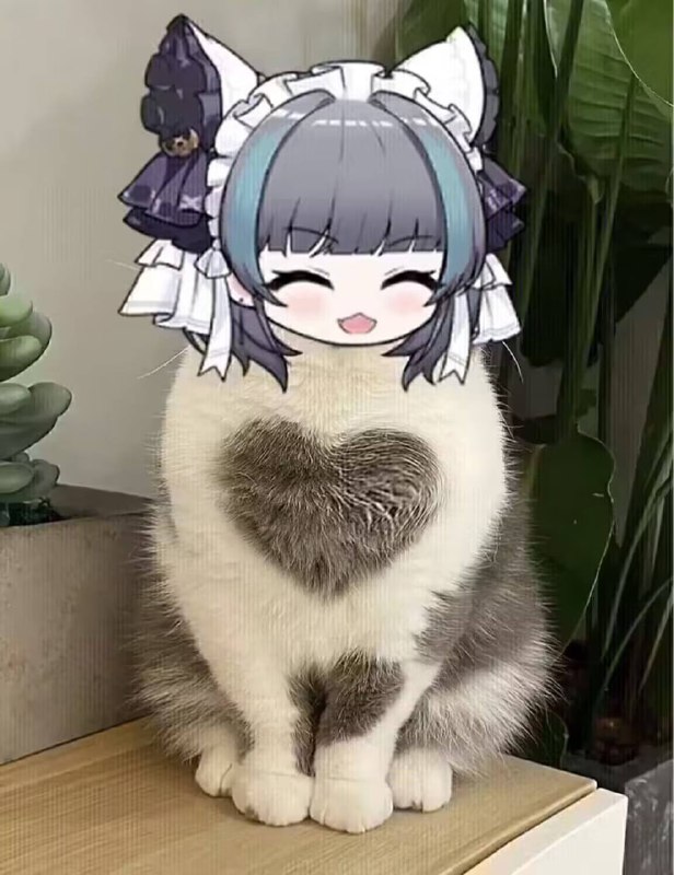 by 長瀞from 🔮 奇闻异录 与 沙雕时刻 meme collection