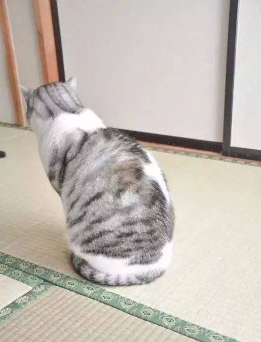 via 张某 犯罪嫌疑人via 张某 犯罪嫌疑人