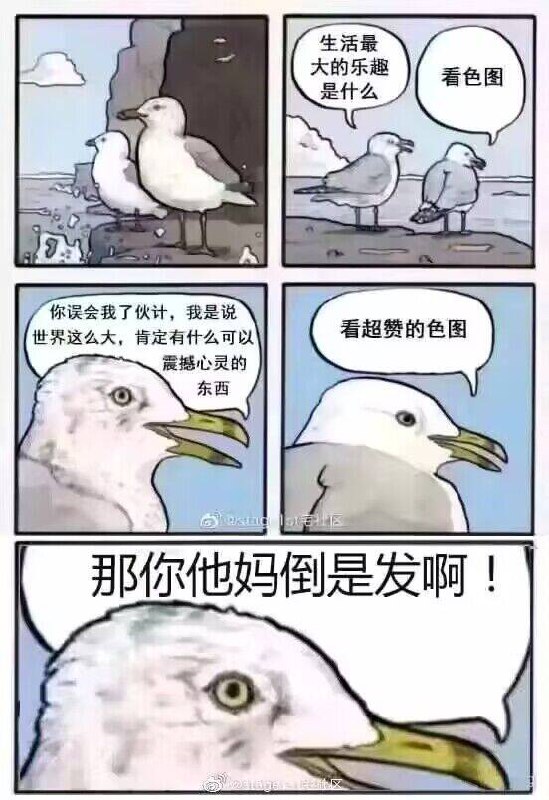 from 美图与沙雕