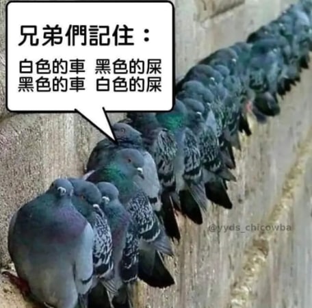 via Stephen Sii(5S2)ಠ Д ಠ