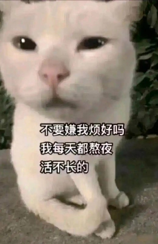 via 犯罪嫌疑人张某