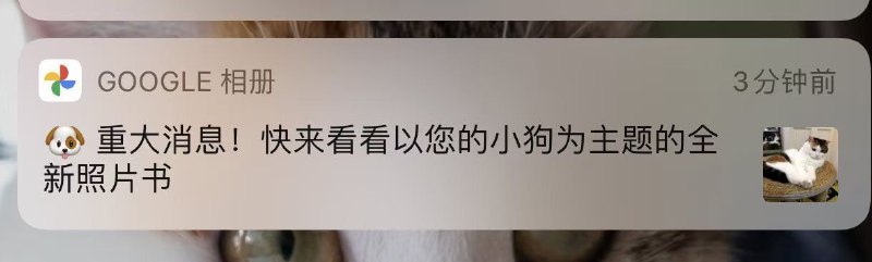 Via:Pio Wonster | 专*魔怔黑屁Via:Pio Wonster | 专*魔怔黑屁