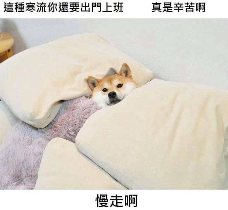 from 美图与沙雕