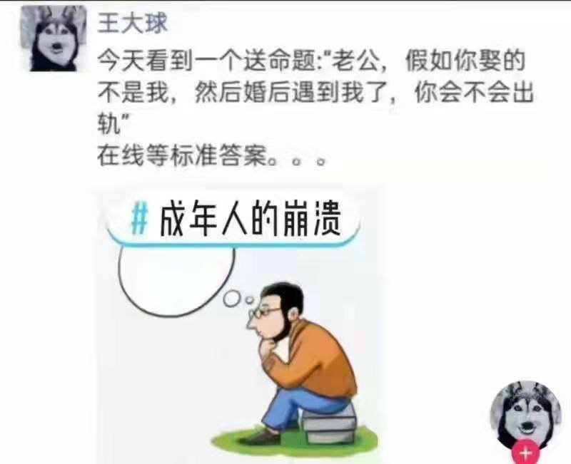 from 心惊报