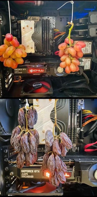 快速制作葡萄干